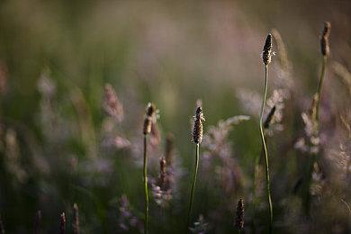《刀剑乱舞无双》第五部队介绍演示：山姥切长义